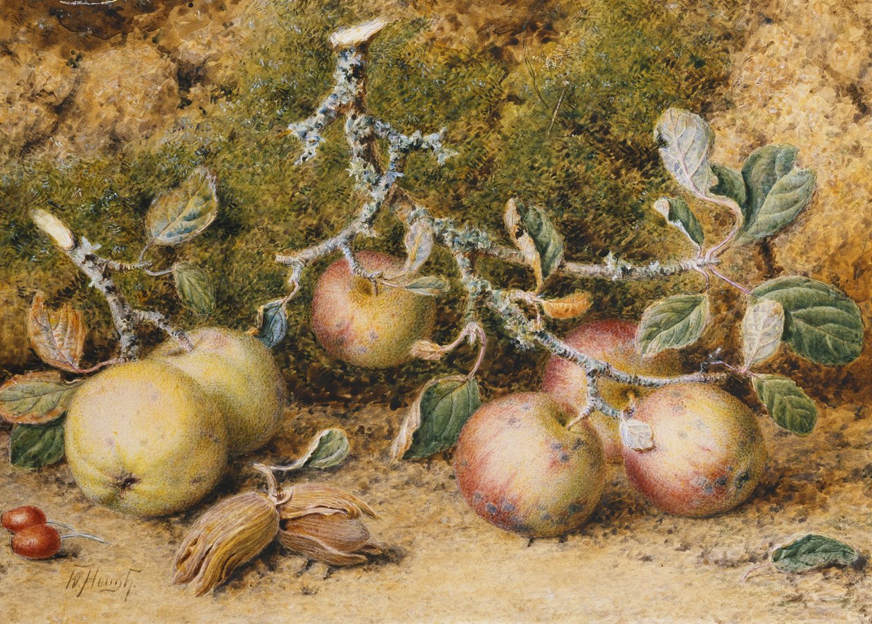 苹果，榛子和玫瑰果静物画， 作者 威廉·霍夫