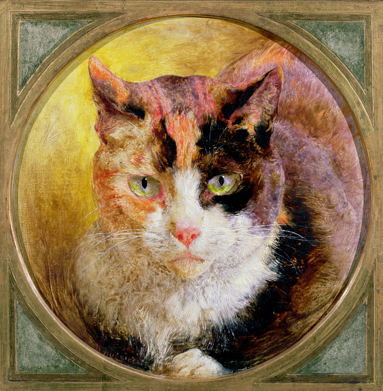 1866年龟甲猫的头部研究 作者 威廉·哈金斯