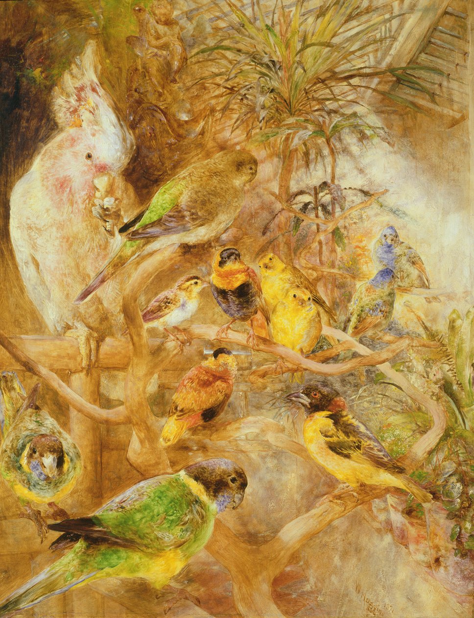 鸟类鸟舍，1871年 作者 威廉·哈金斯