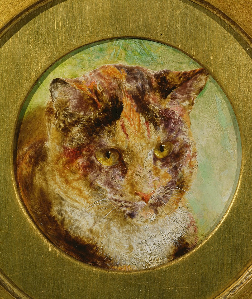 龟甲猫的研究 作者 威廉·哈金斯