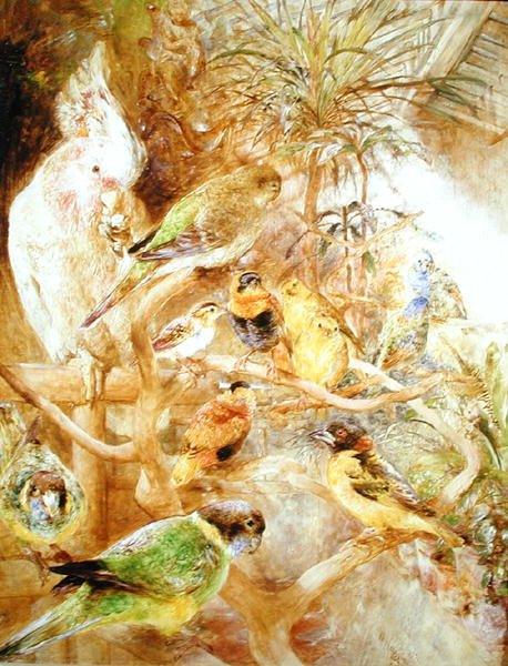 鸟巢 作者 威廉·哈金斯