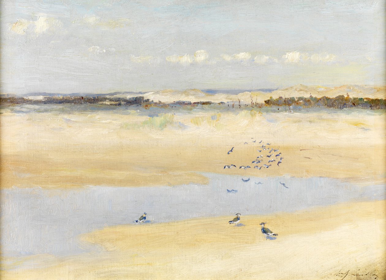 海边的Lapwings 作者 威廉·詹姆斯·莱德利