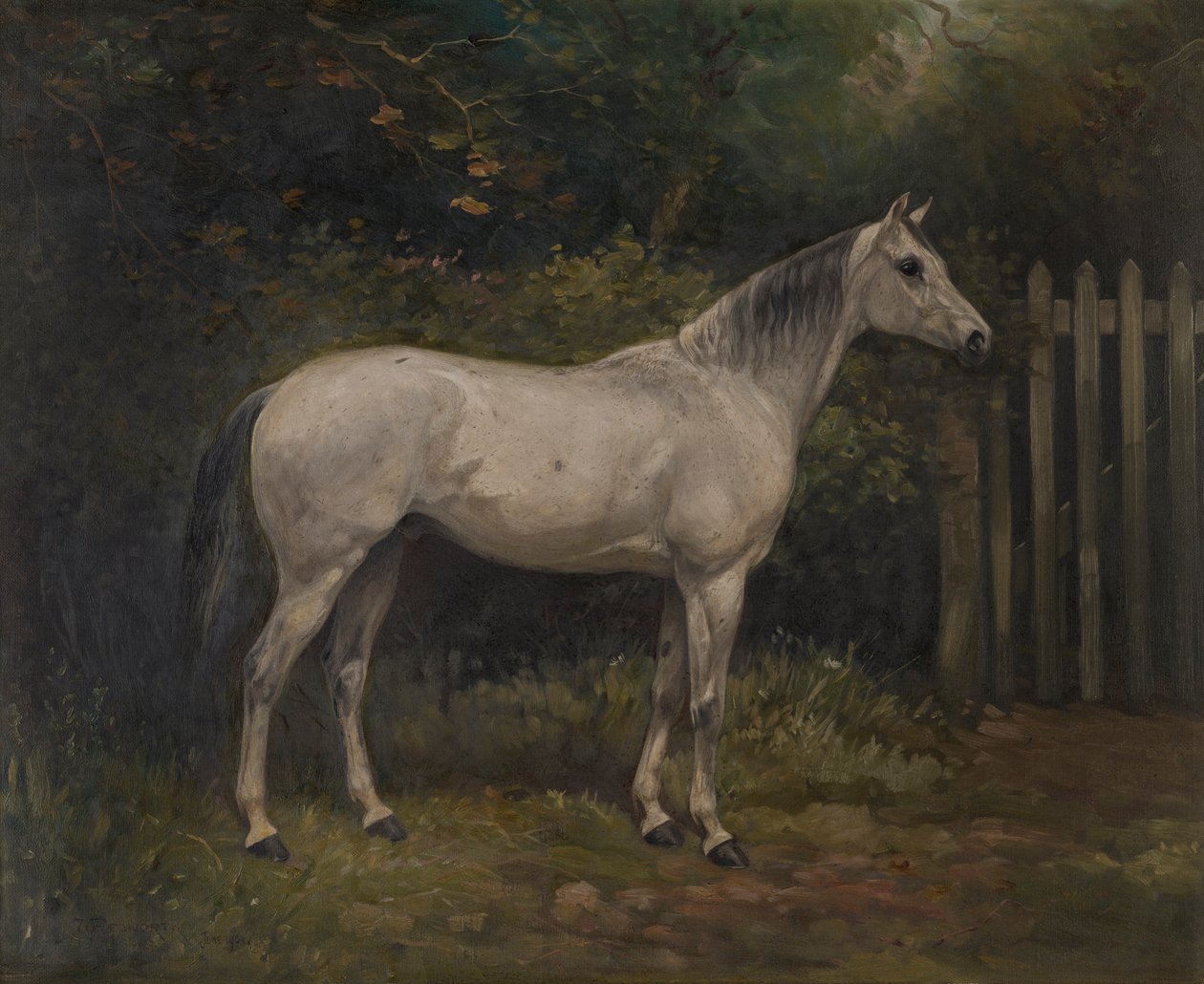 泡菜：一匹巴苏托小马，约 1904 年（布面油画） 作者 威廉·乔赛亚·雷德沃斯