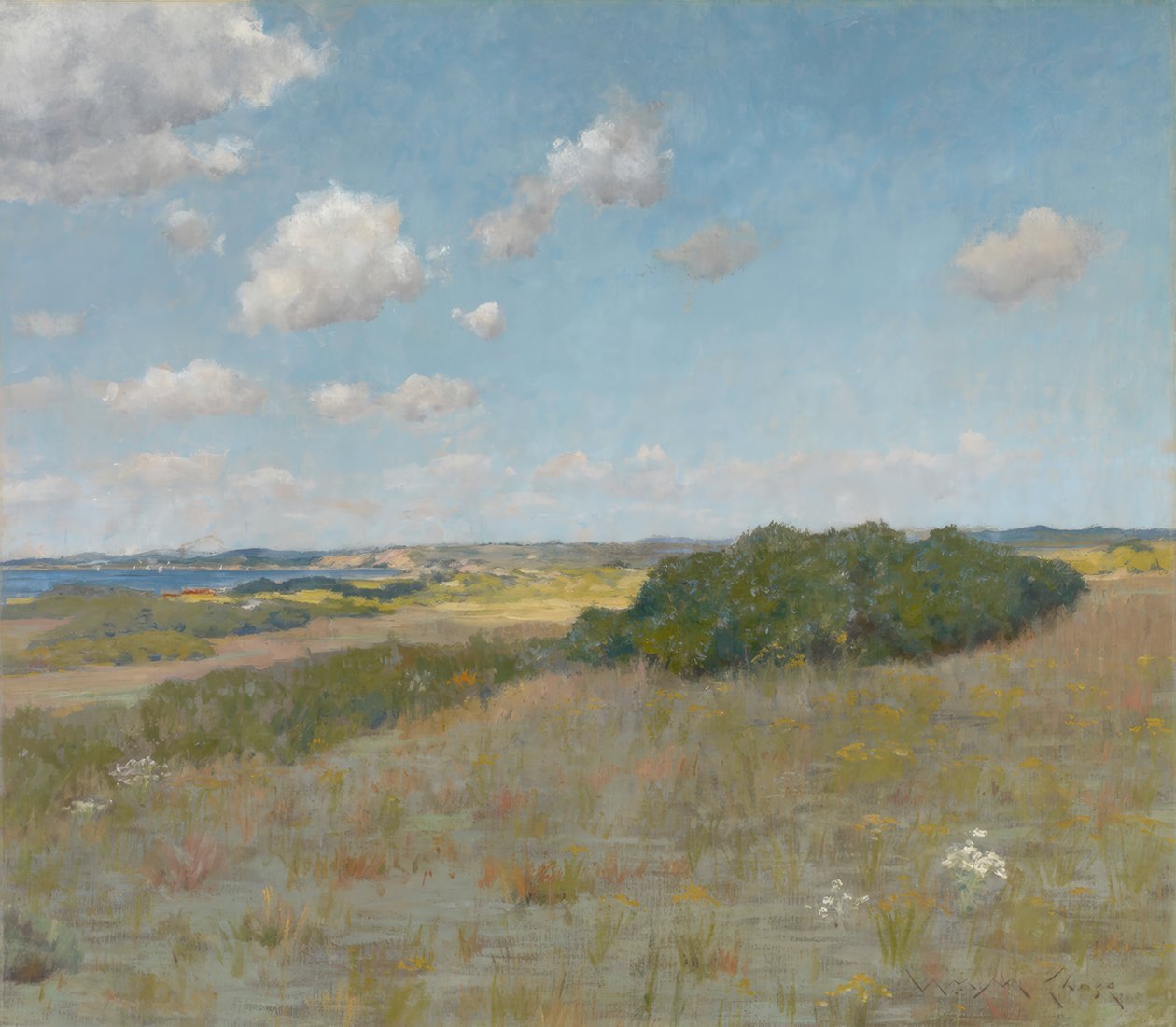 Sunlight and Shadow, Shinnecock Hills 作者 威廉·梅里特·蔡斯