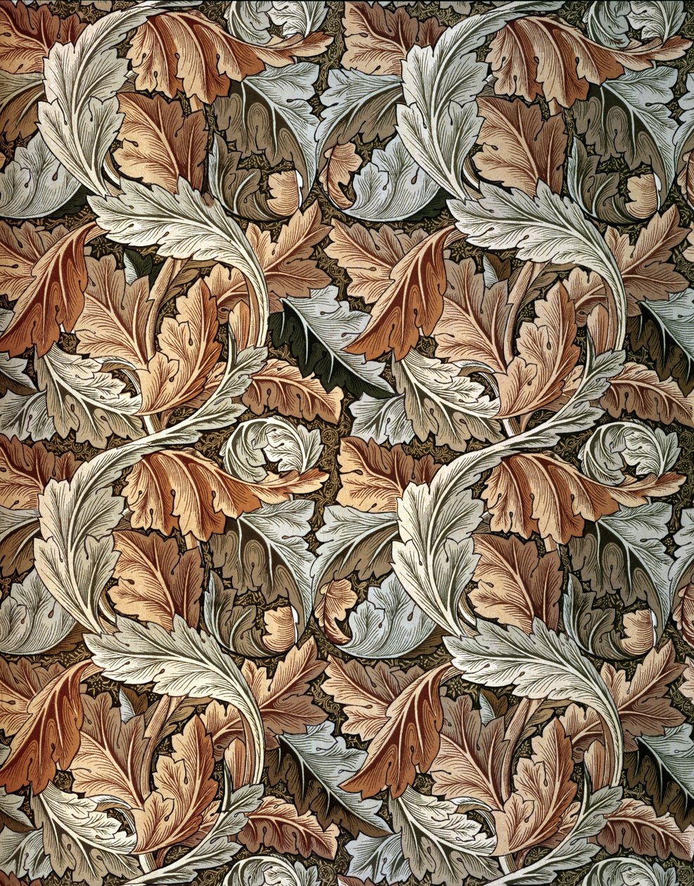 由威廉-莫里斯（1834-96 年）设计的 Acanthus 壁纸 作者 威廉·莫里斯