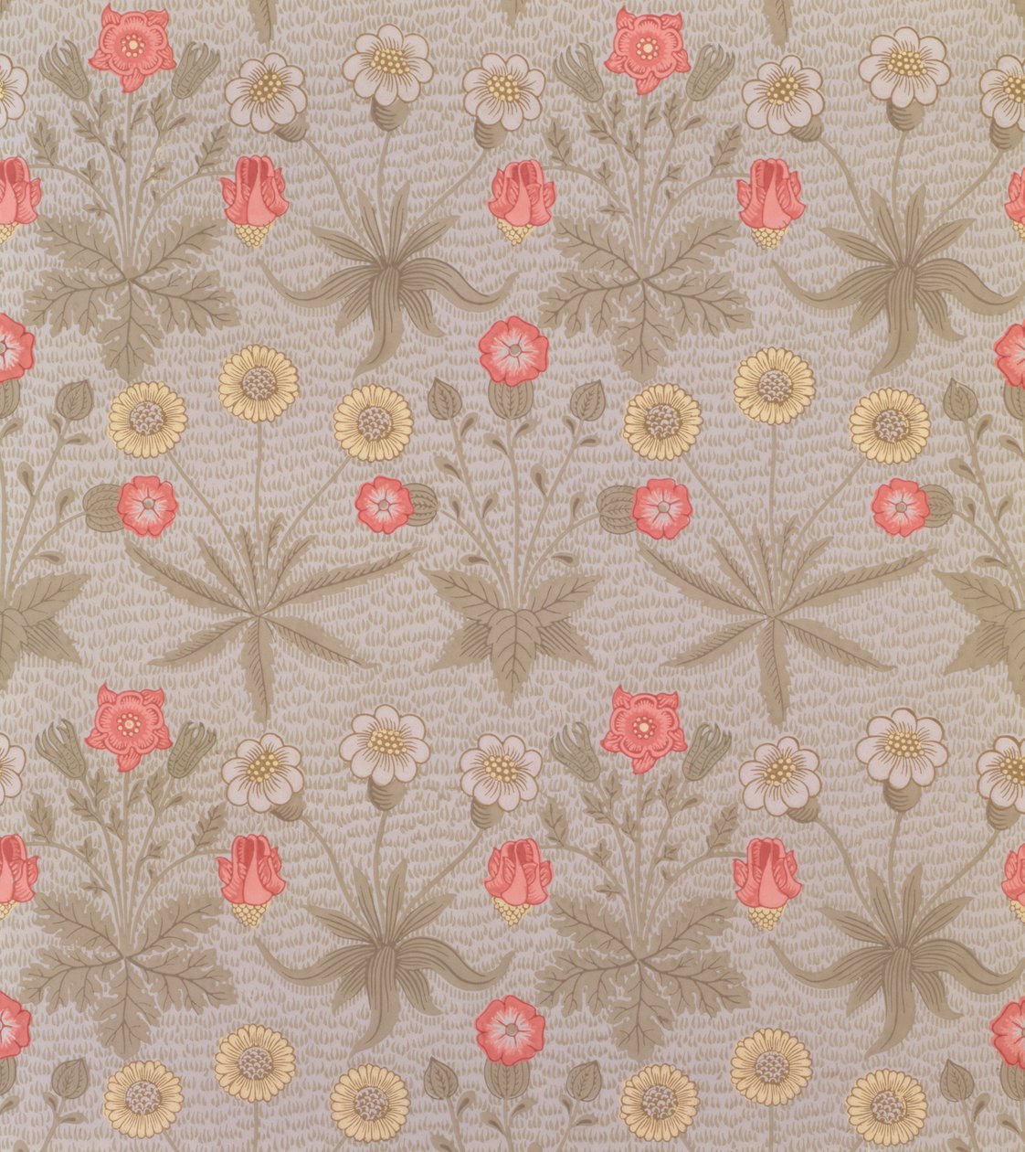 &39;Daisy&39;，威廉·莫里斯（William Morris，1834-96）于1862年设计的第一幅壁纸 作者 威廉·莫里斯