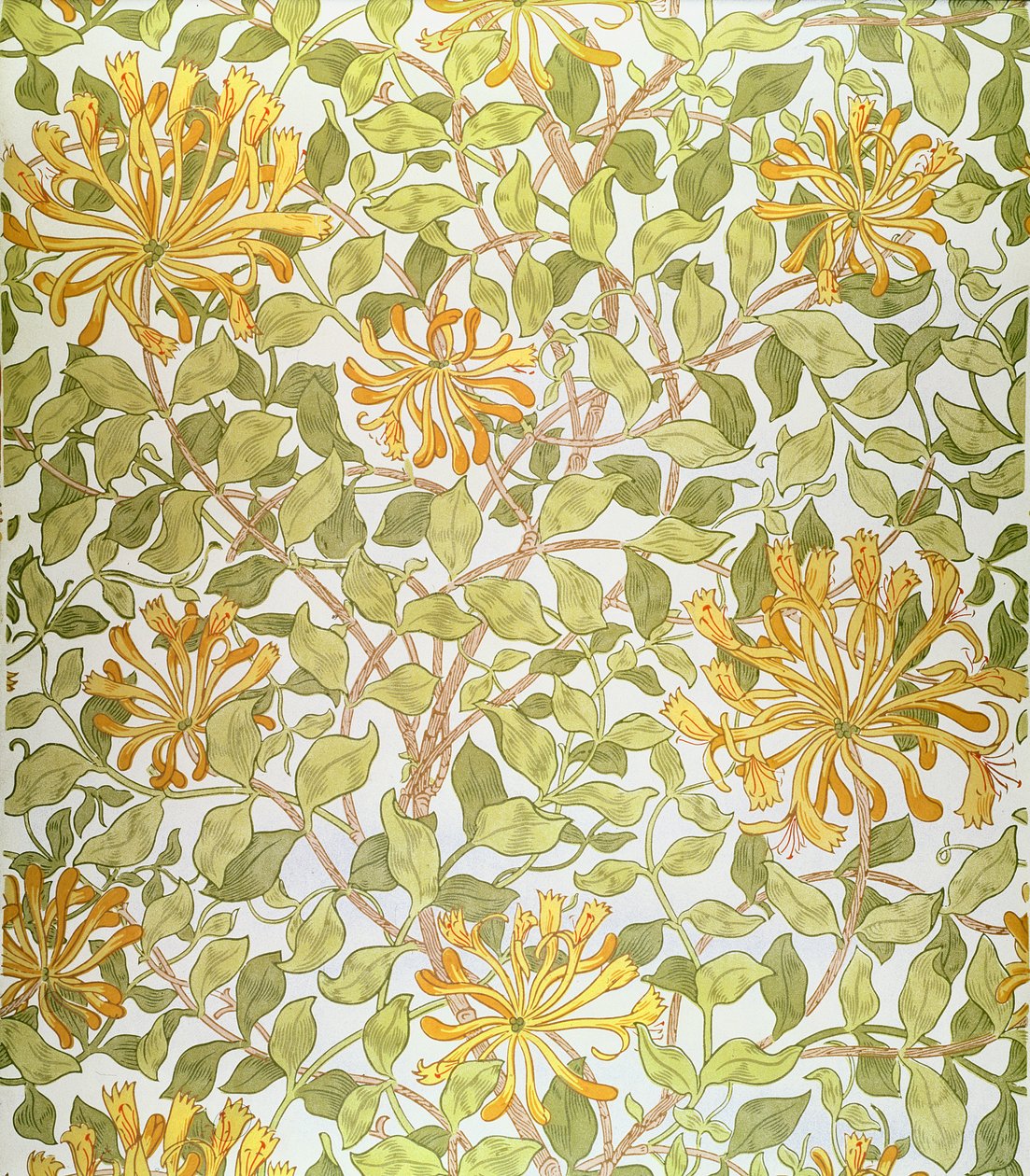 &39;金银花&39;设计，1883年 作者 威廉·莫里斯