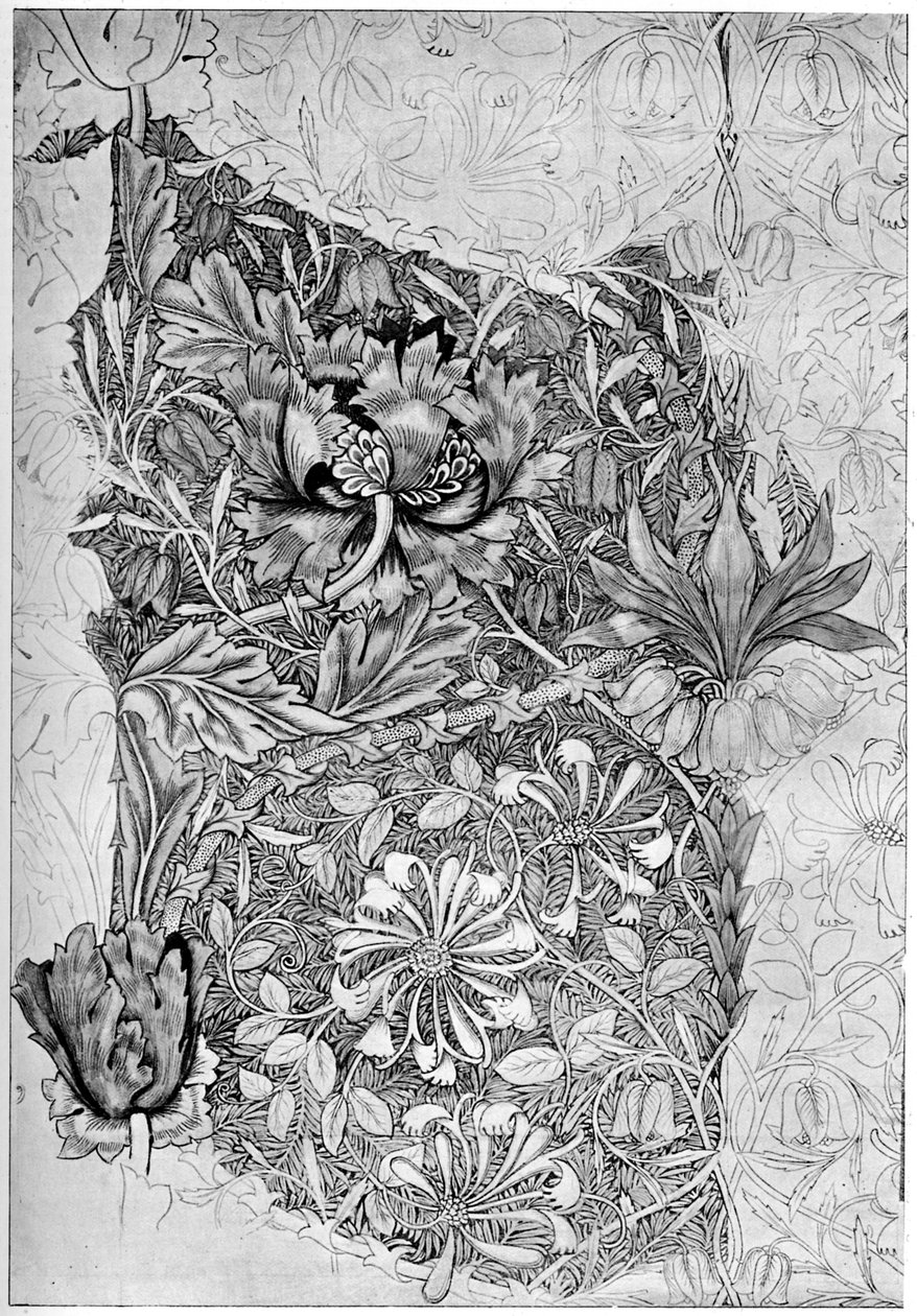 金银花图案印在亚麻上，1883年1934年。 作者 威廉·莫里斯
