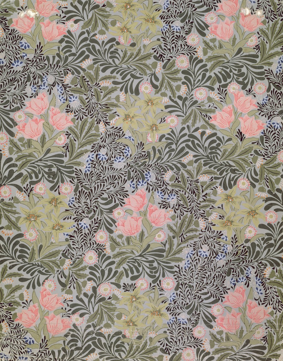 郁金香，雏菊和金银花壁纸设计（壁纸） 作者 威廉·莫里斯