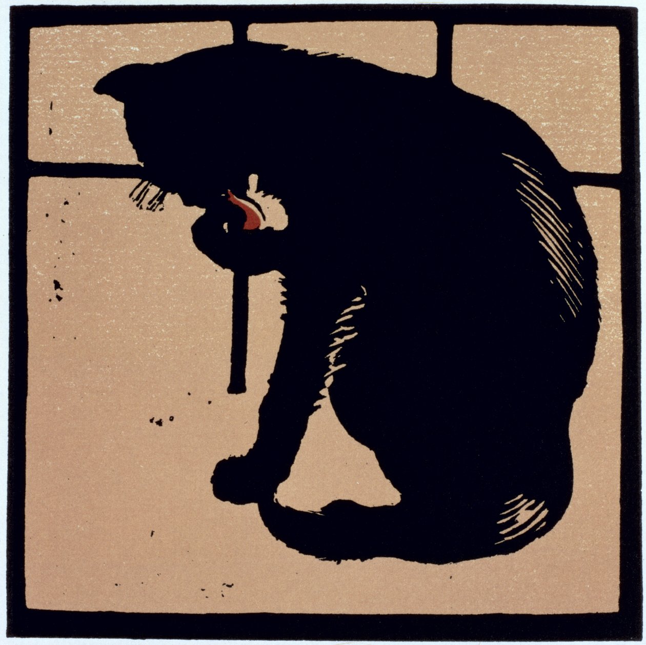 不常见的猫》，选自《动物方册》，最初出版于 1900 年（彩色石印版） 作者 威廉·尼科尔森