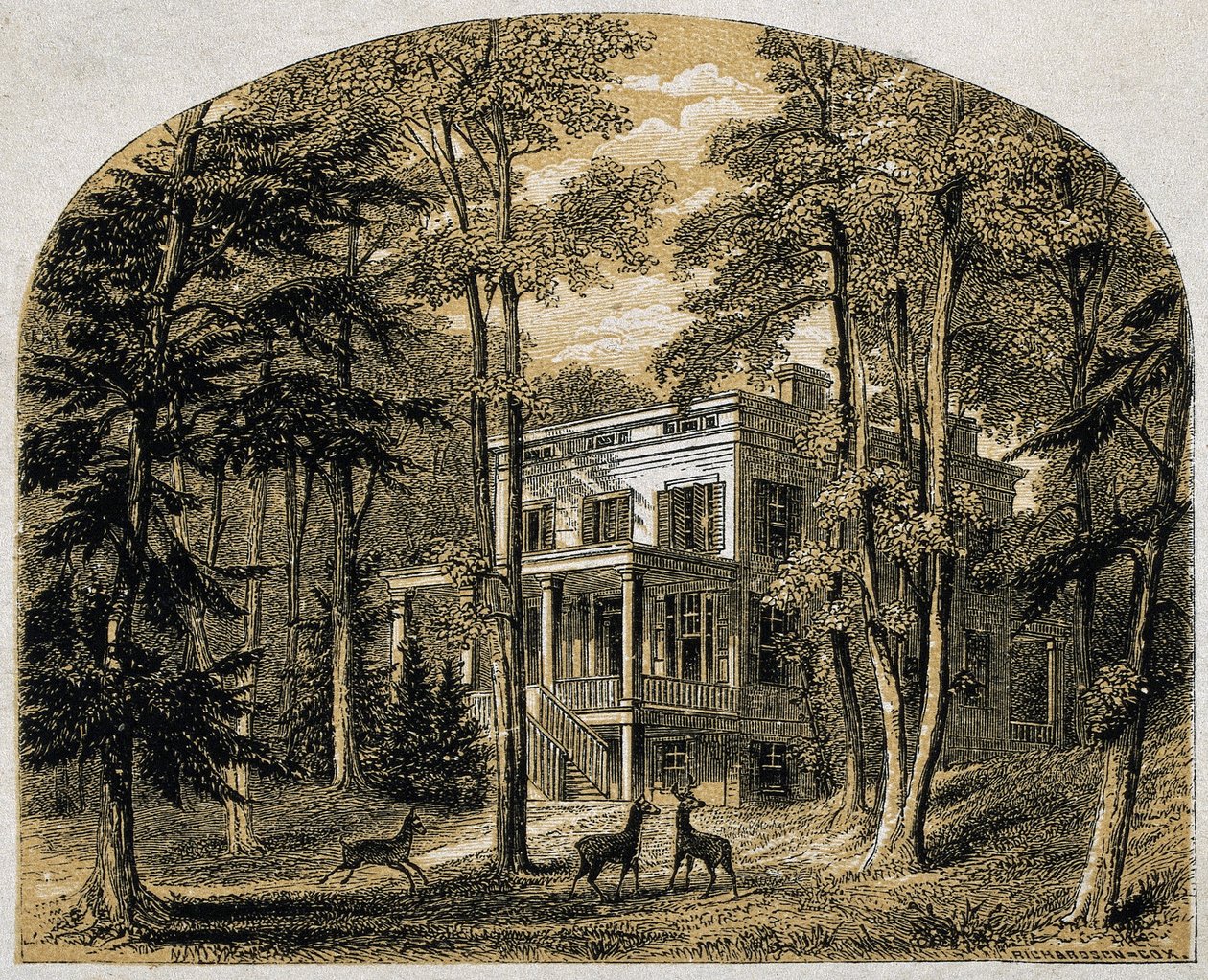 詹姆斯-约翰-奥杜邦的家 "Minniesland"，出版。C 1861年（木刻版画 作者 威廉·里卡比·米勒