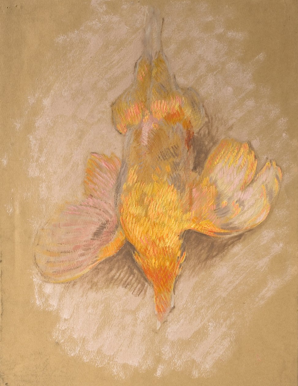 研究高地攻略的家禽，c.1918（纸上油） 作者 威廉·沙克尔顿