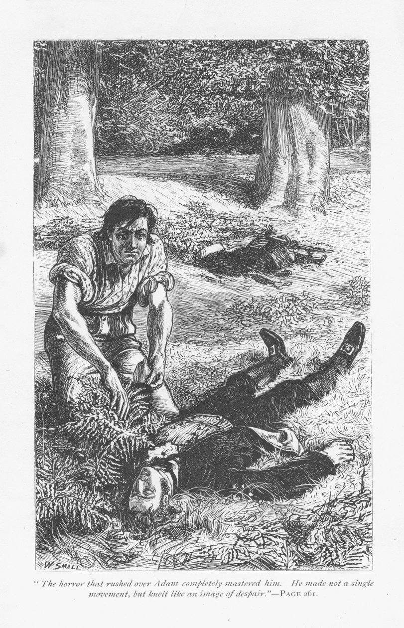 Adam Bede, having got the better of Arthur Donnithorne in a fight, is horrified to see his rival lying unconcious. Adam Bede by George Eliot, first published 1859. Illustration by William Small (1843-1929) from an edition published c1885. 作者 威廉·斯莫特