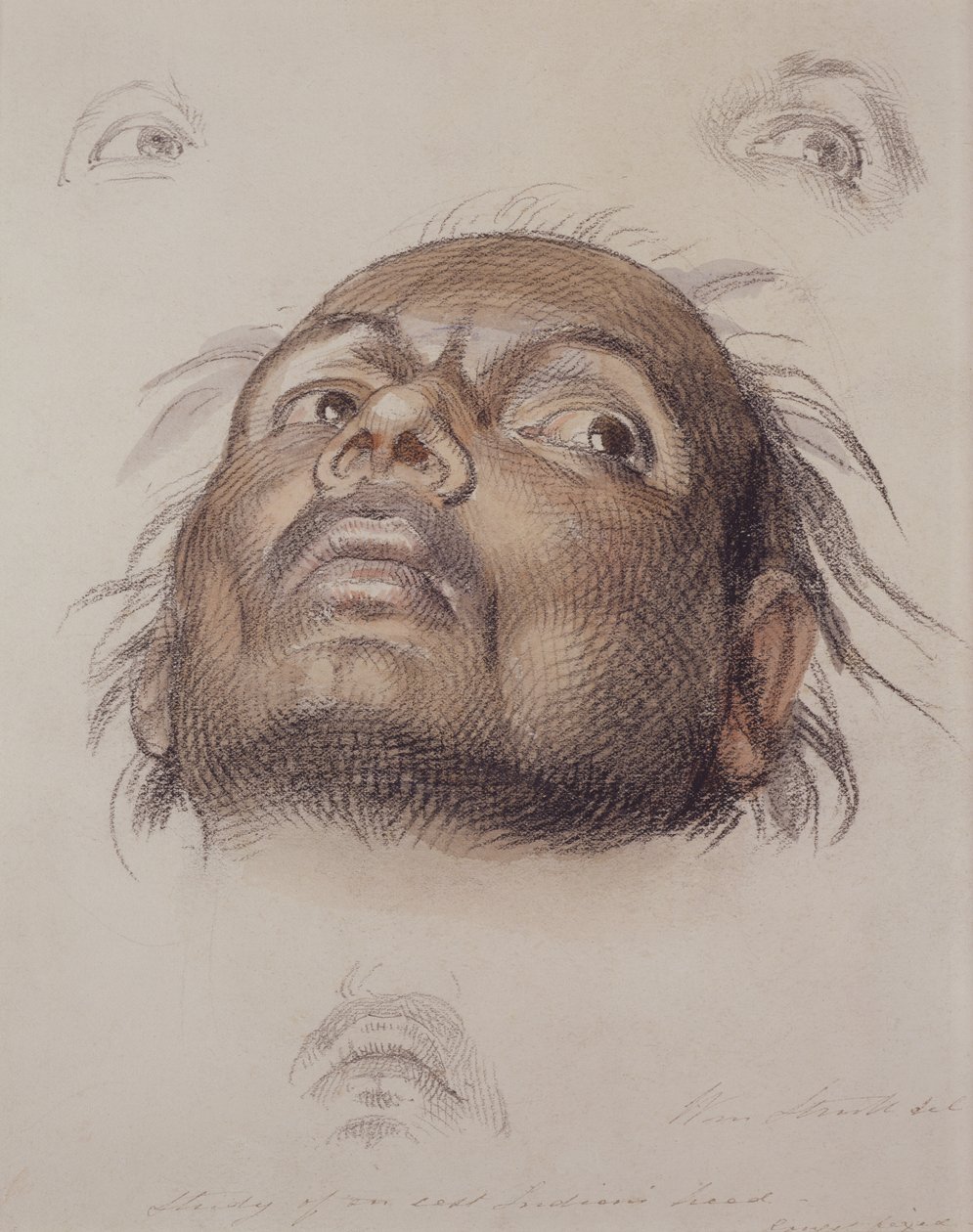 研究东印度人的头，1875年（蜡笔和纸上洗） 作者 威廉·斯特鲁特