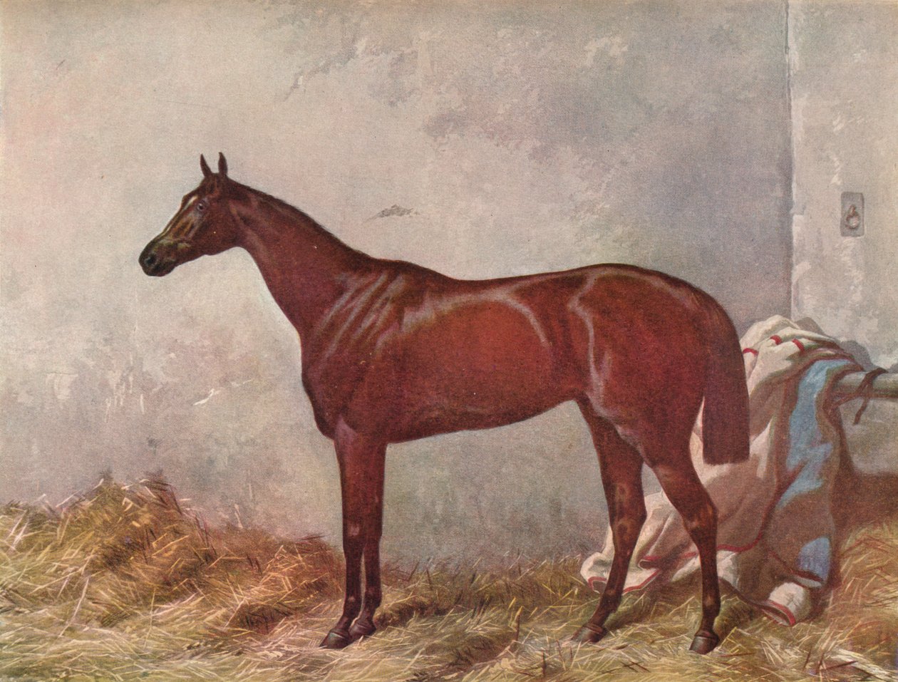 隐士：1867年在埃普森（Epsom）的德比扑克冠军 作者 威廉·萨默斯