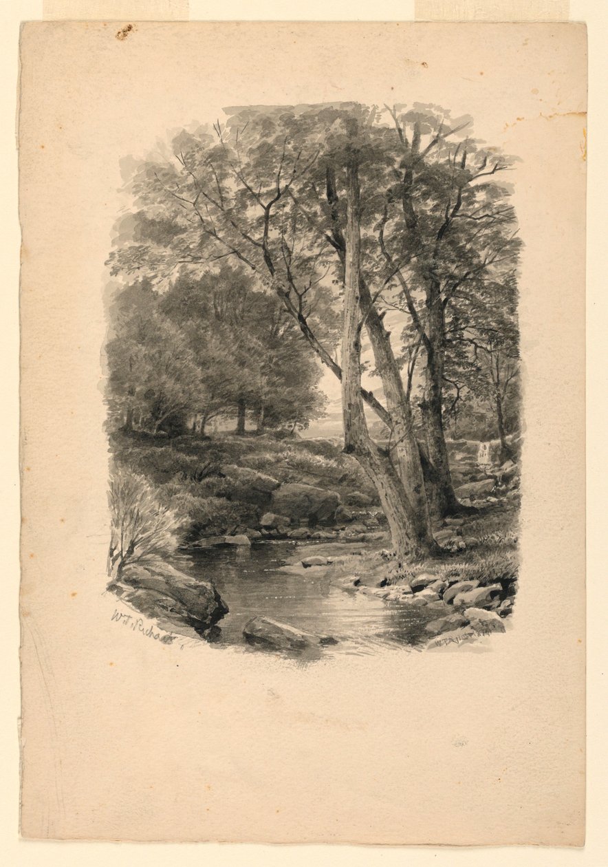 素描，森林中的水池，1874 年 作者 威廉·特罗斯特·理查兹