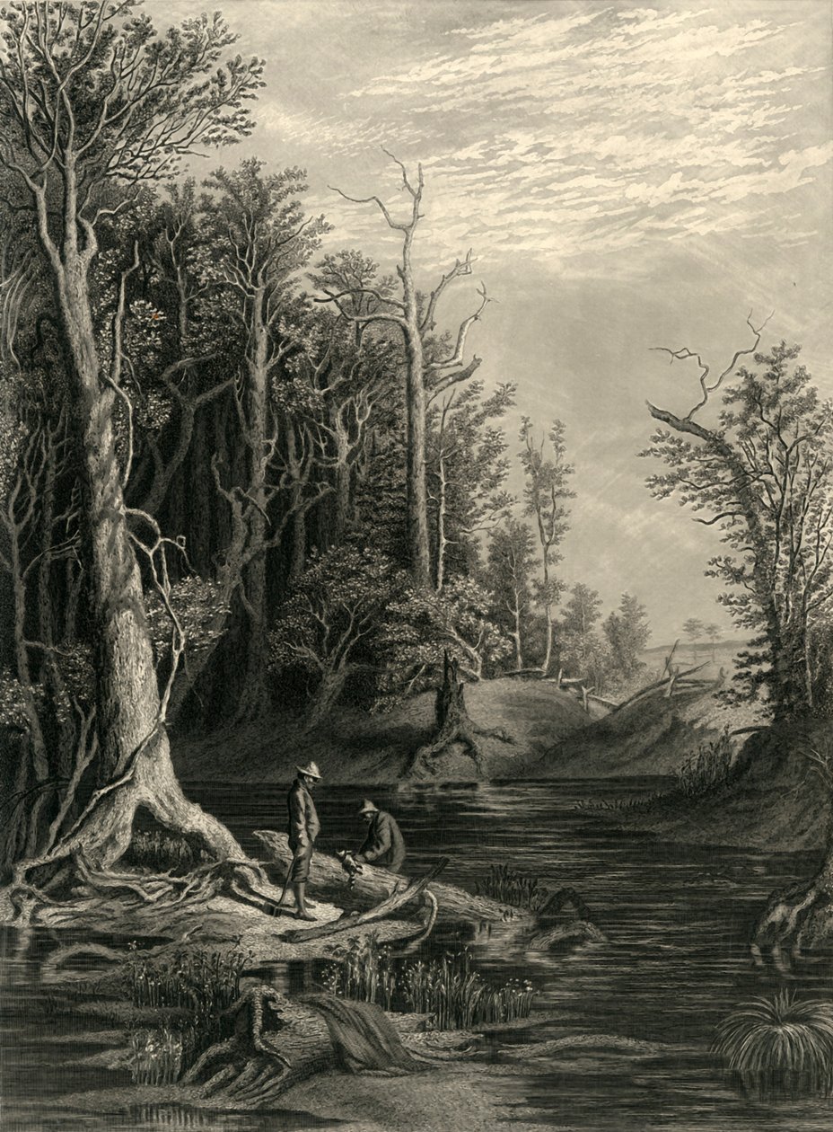 Chickahominy》，1872年。   作者 威廉·韦尔斯托德