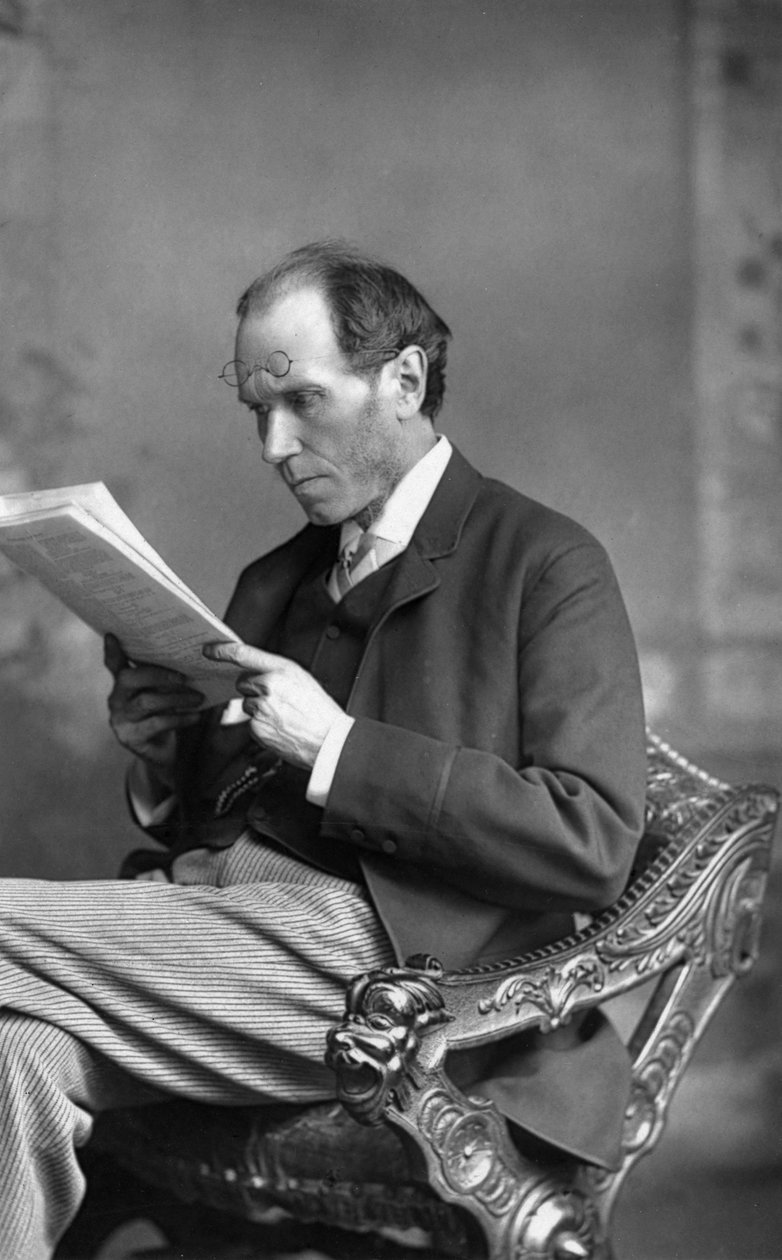 詹姆斯·佩恩（James Payn）1830-1898年，英国小说家，1890年。 作者 威廉和丹尼尔唐尼