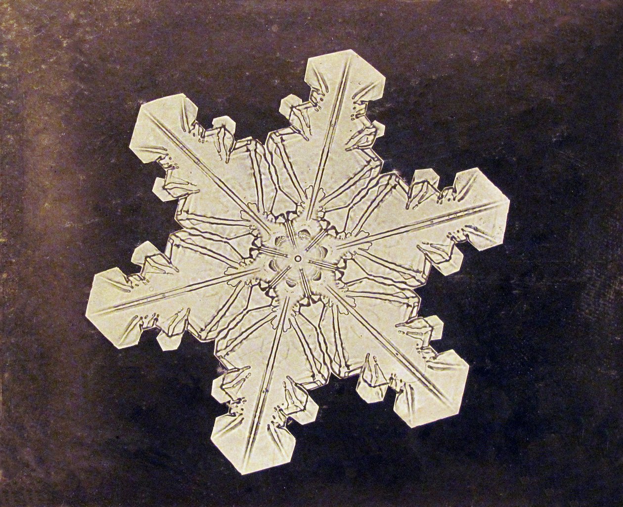 雪花的研究 作者 威尔逊·本特利