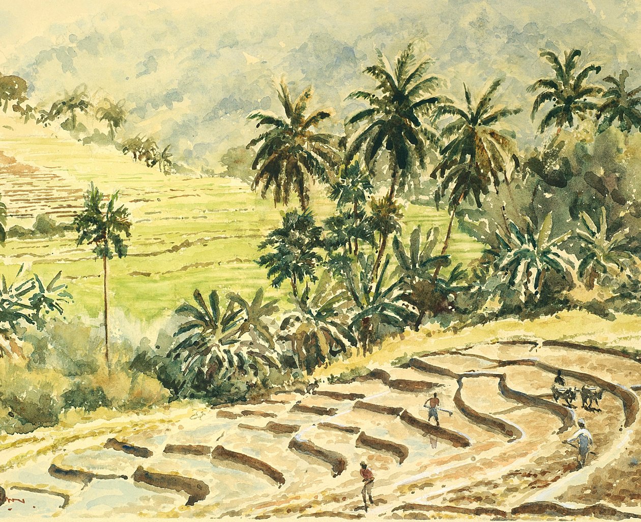 741 Dunhinda，准备水田 作者 威尔逊·克莱夫（Wilson Clive）