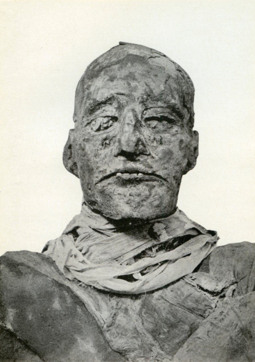 拉美西斯三世（Rameses III）的木乃伊头，古埃及的20世纪王朝法老，公元前1156年左右 作者 Winifred Mabel Brunton