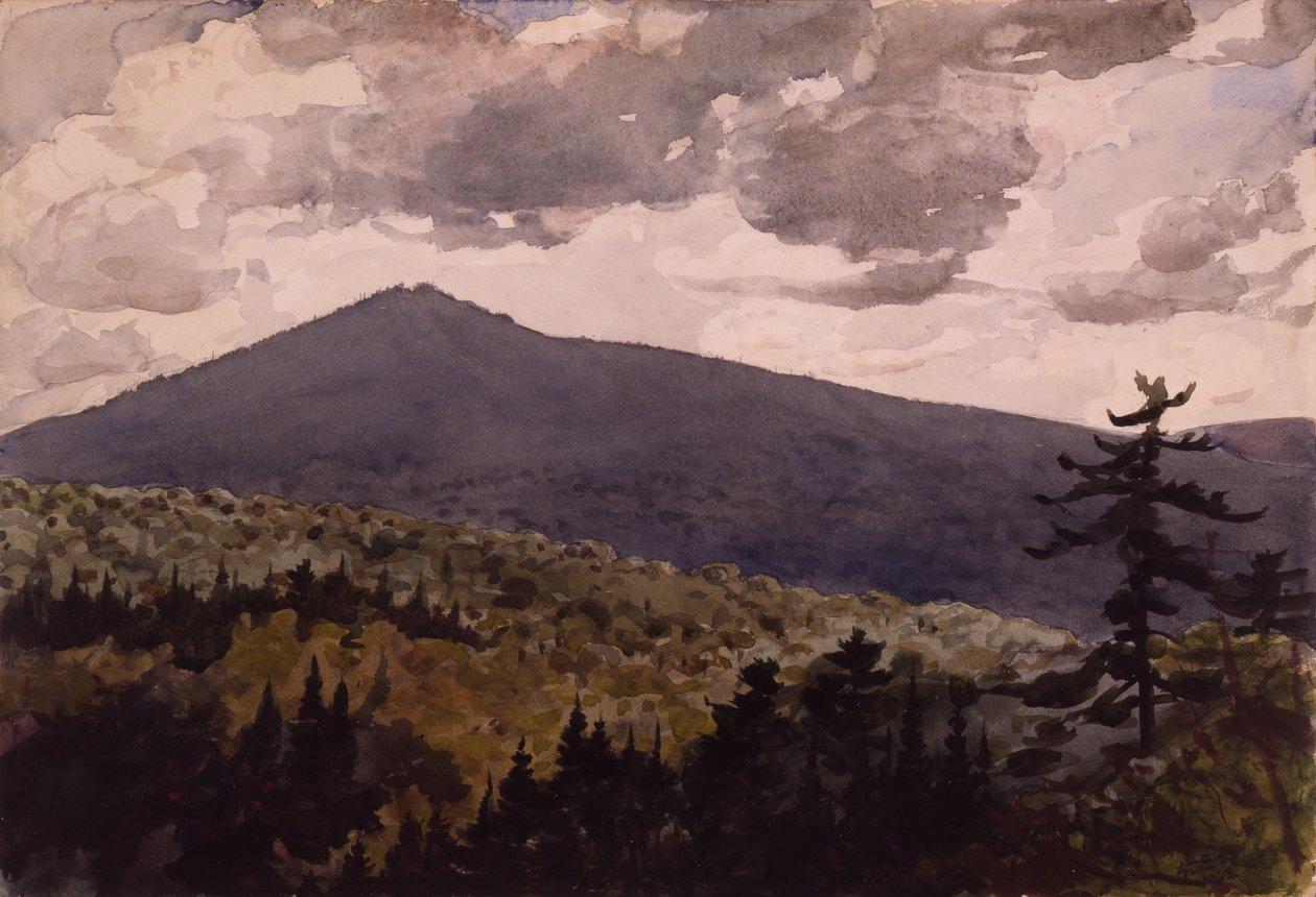 Burnt Mountain，1902 作者 温斯洛·荷马