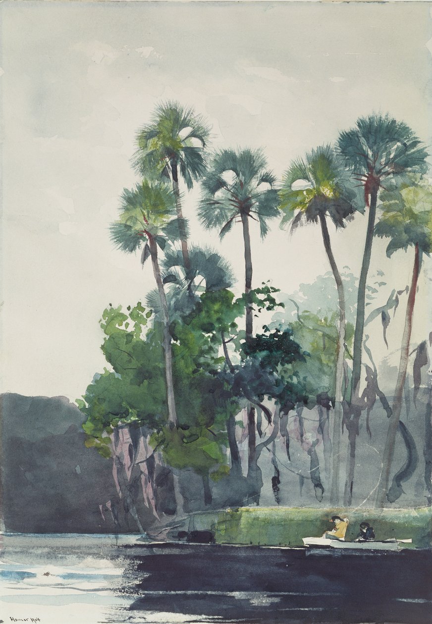 Homosassa河，1904年 作者 温斯洛·荷马