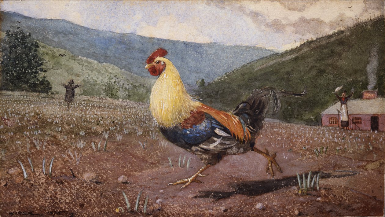 公鸡，1876年 作者 温斯洛·荷马