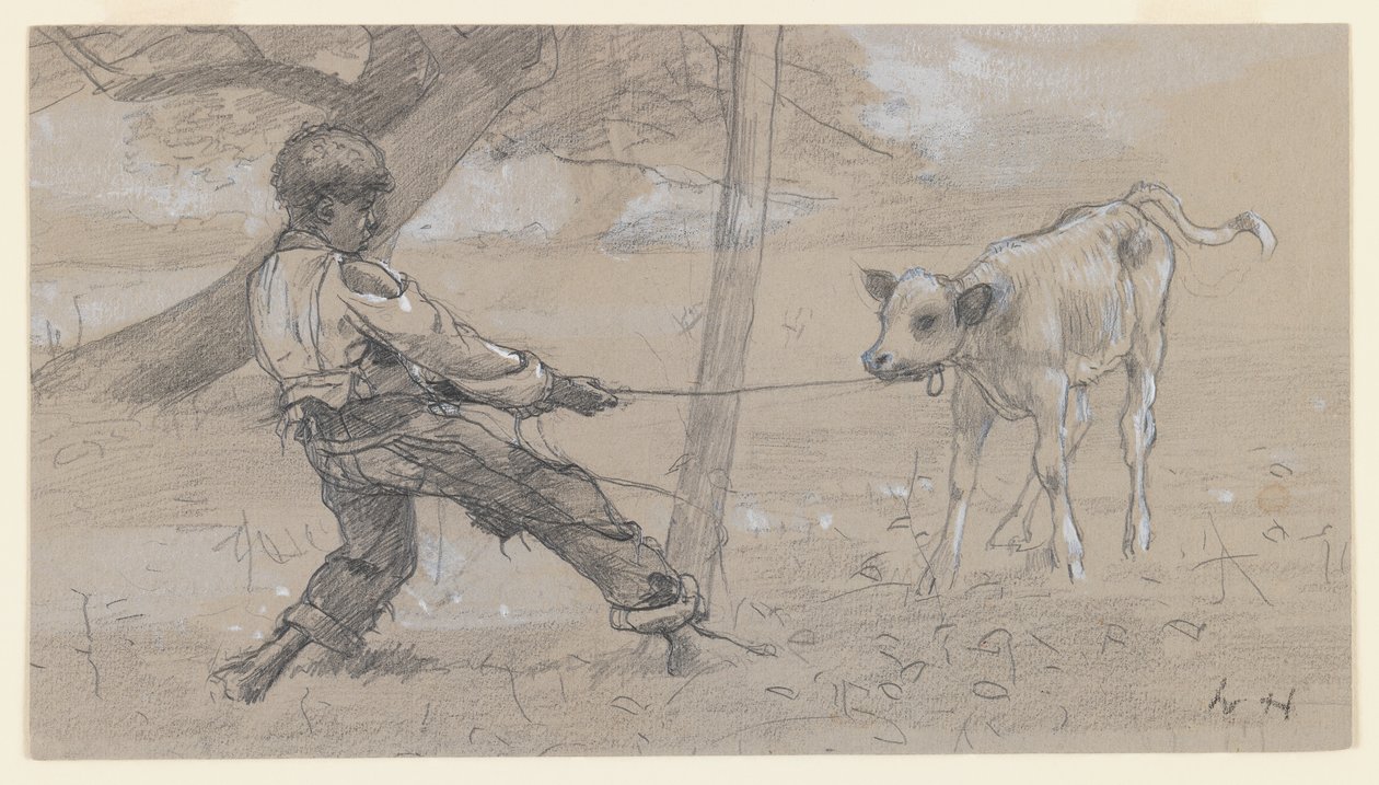 Unruly Calf，c.1875-76（灰色编织纸上的石墨和中国白） 作者 温斯洛·荷马