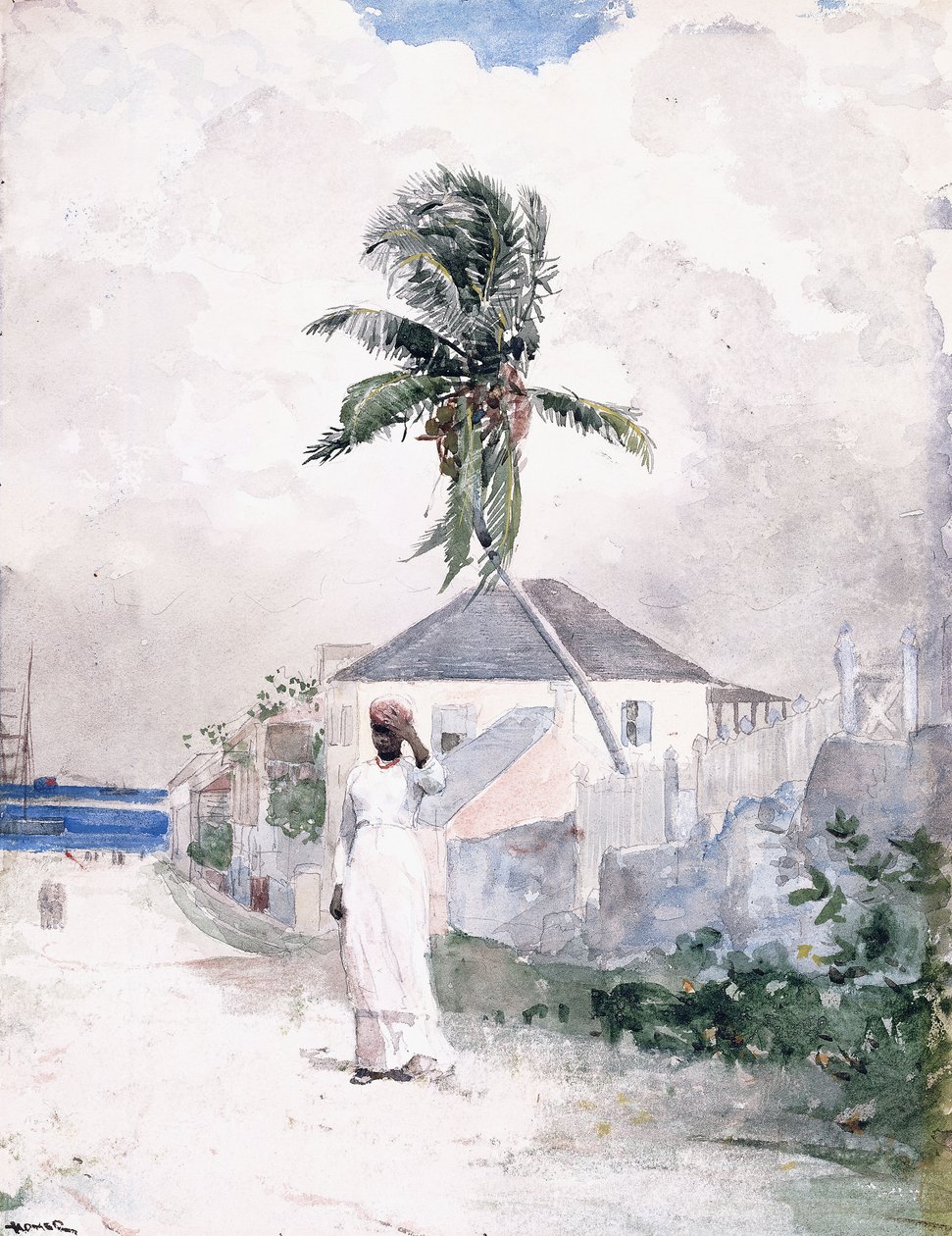 巴哈马沿路，1885年 作者 温斯洛·荷马