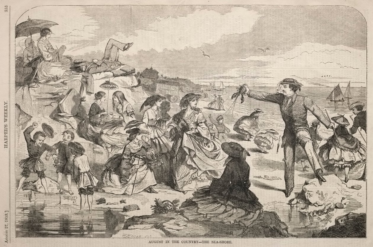 八月在乡下-海滨，1859年。 作者 温斯洛·荷马