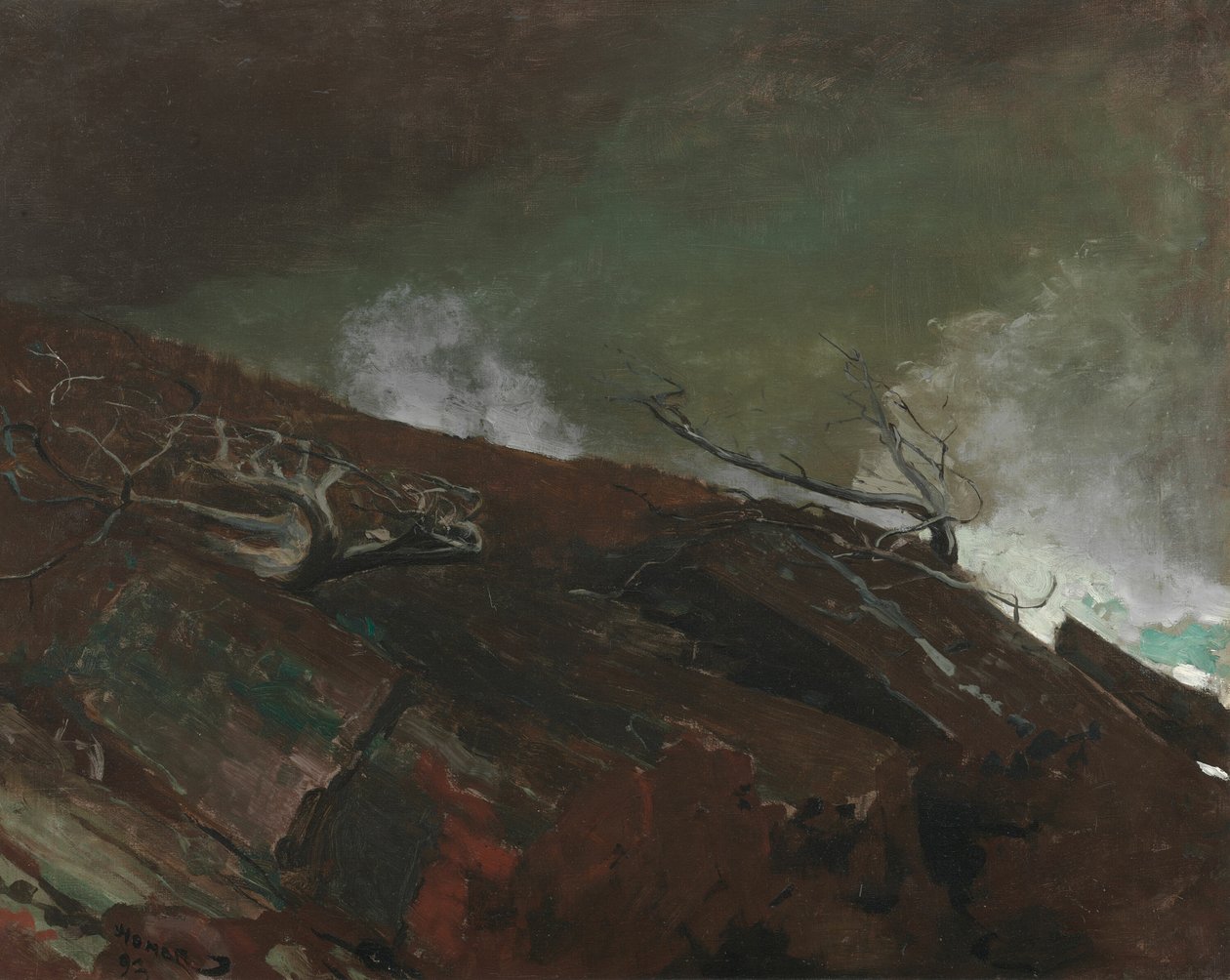 缅因州的海岸，1893年。 作者 温斯洛·荷马