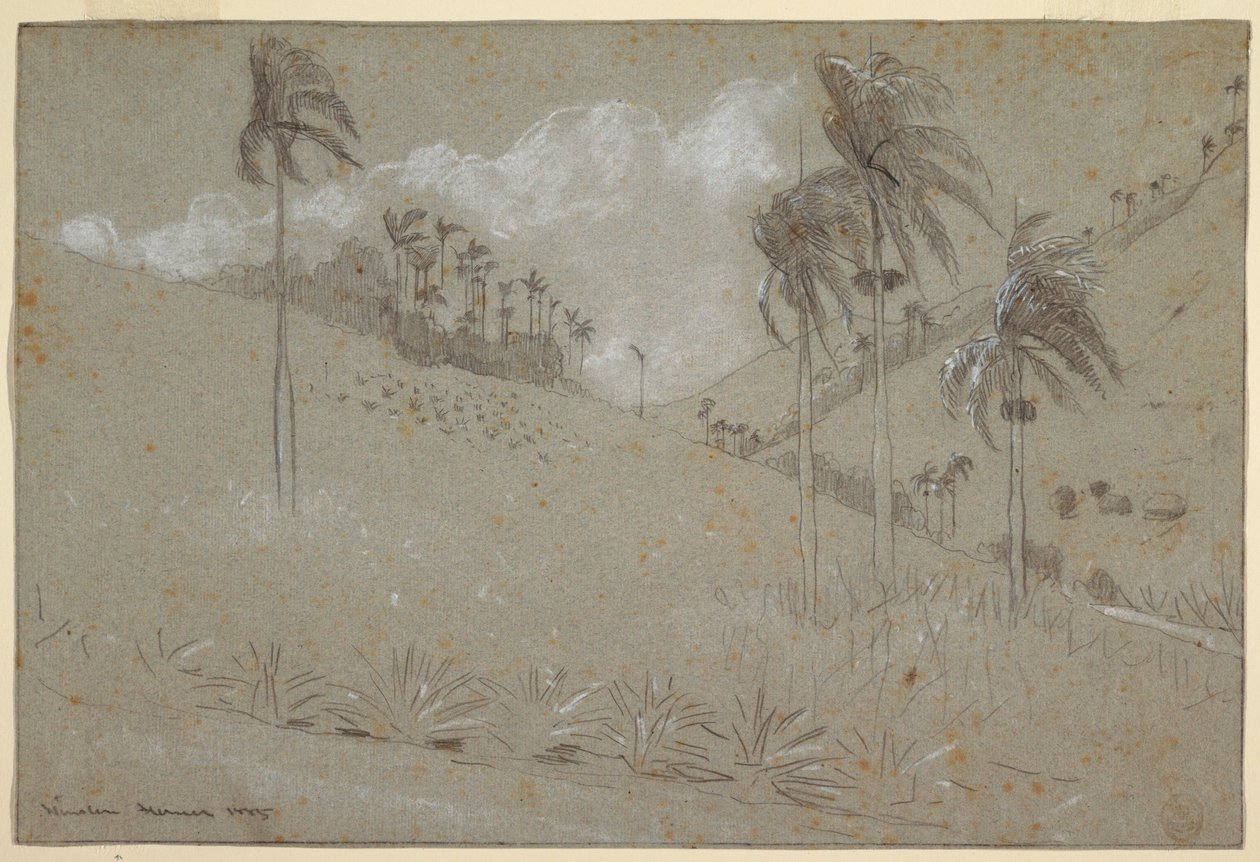 绘画，古巴山坡，1885 年 作者 温斯洛·荷马