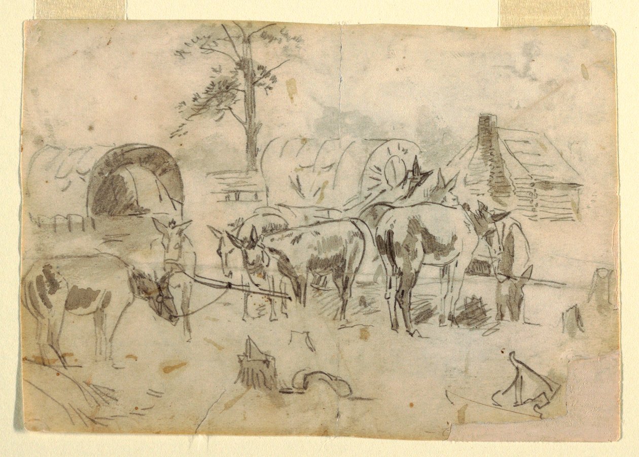绘图，拴在马车上休息的骡子，1862 年 作者 温斯洛·荷马