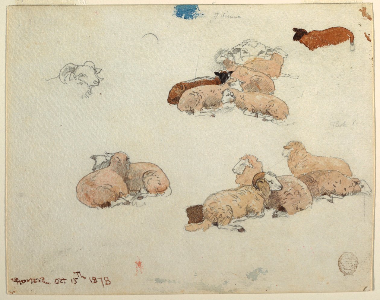 绘画，休息的绵羊，1878 年 10 月 15 日 作者 温斯洛·荷马