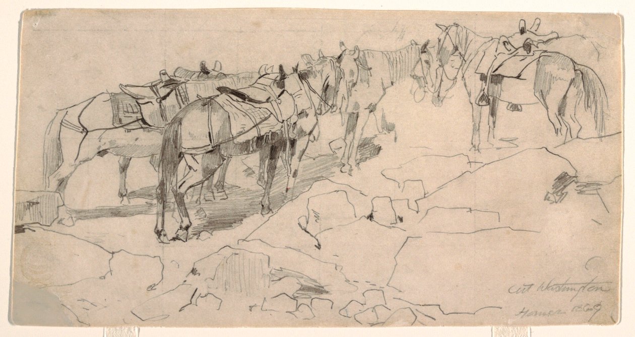 素描，"华盛顿山 "和 "华盛顿山顶 "的研究，1869 年 作者 温斯洛·荷马