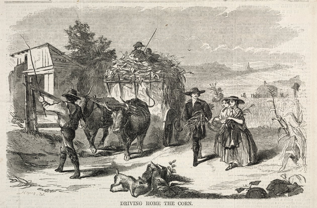 玉米开车回家，1858年。 作者 温斯洛·荷马