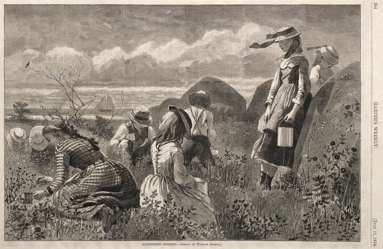 收集浆果，1874年。 作者 温斯洛·荷马