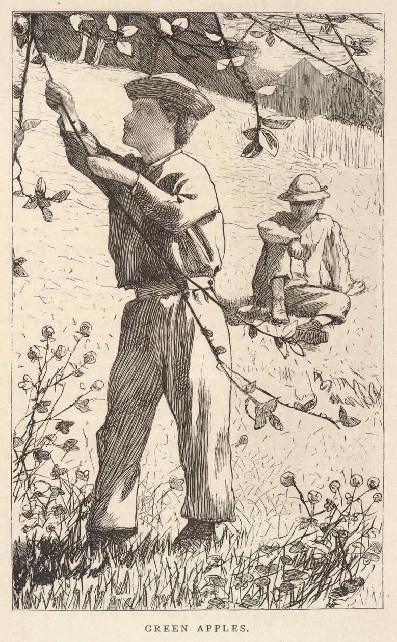 青苹果》，摘自《我们的年轻人》，1868 年 8 月 作者 温斯洛·荷马