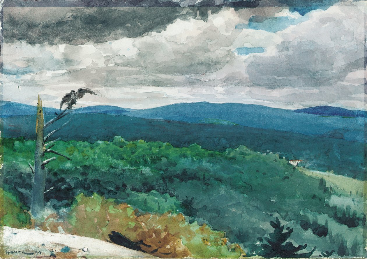 丘陵景观，1894年 作者 温斯洛·荷马