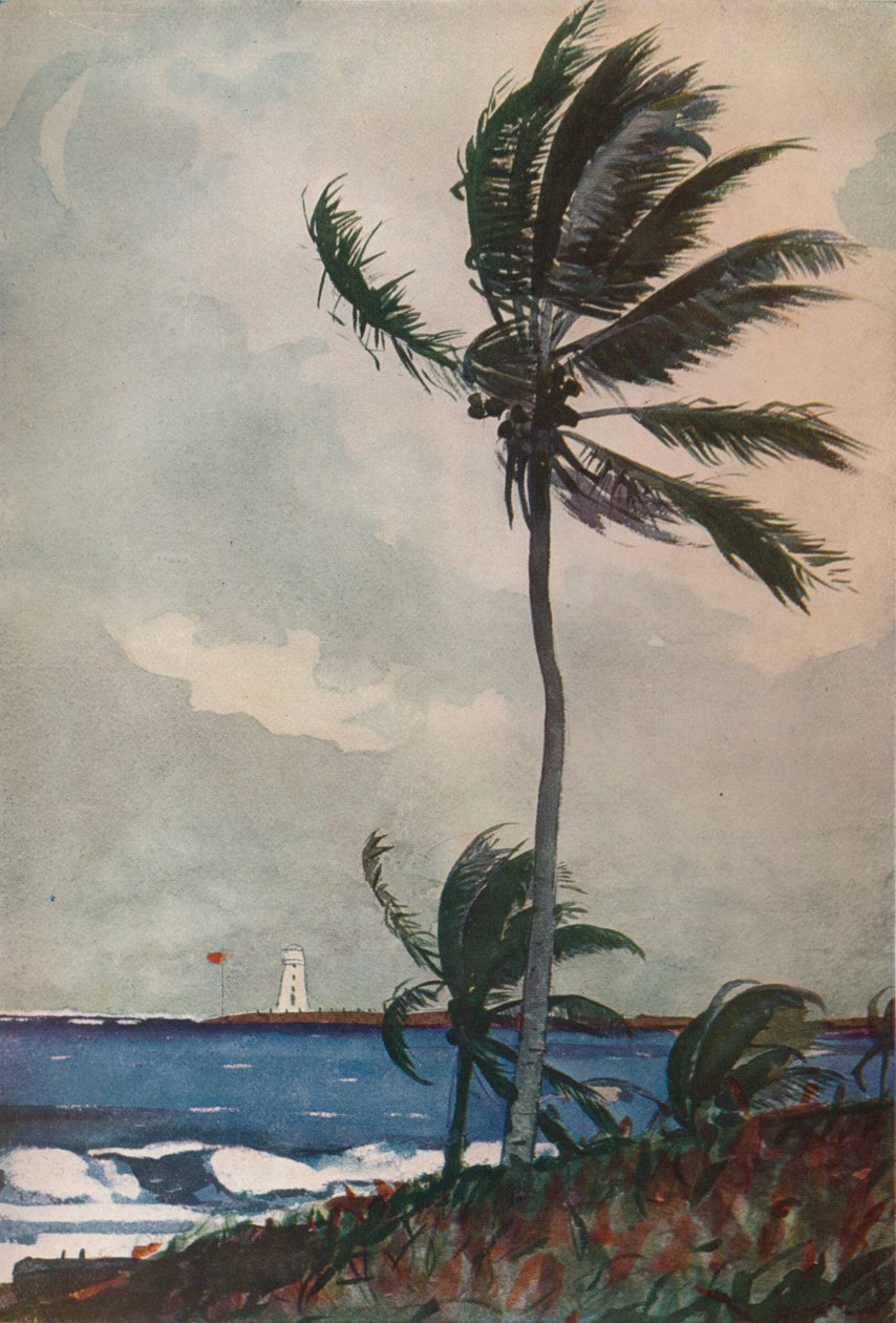拿骚的棕榈树，1898年，1932年 作者 温斯洛·荷马
