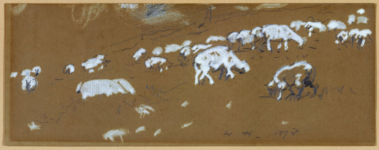 绵羊，1878年（纸上的石墨和白水粉） 作者 温斯洛·荷马
