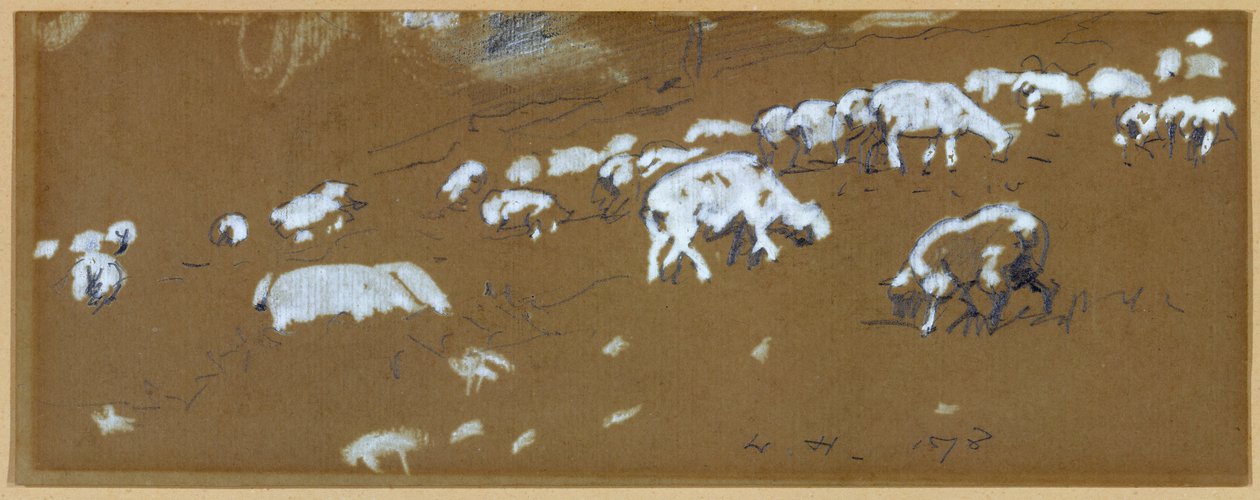 绵羊，1878年。 作者 温斯洛·荷马