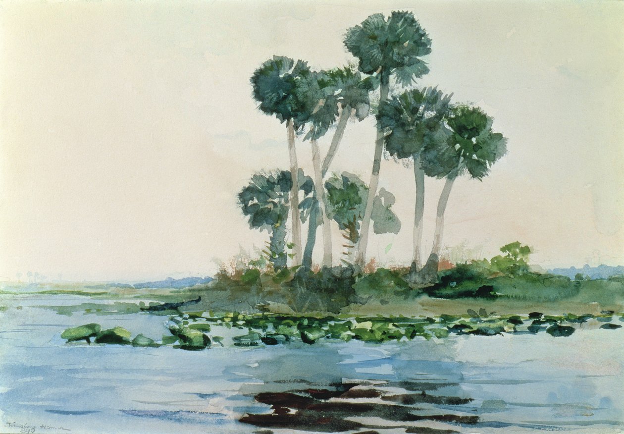 佛罗里达州圣约翰河，1890年 作者 温斯洛·荷马