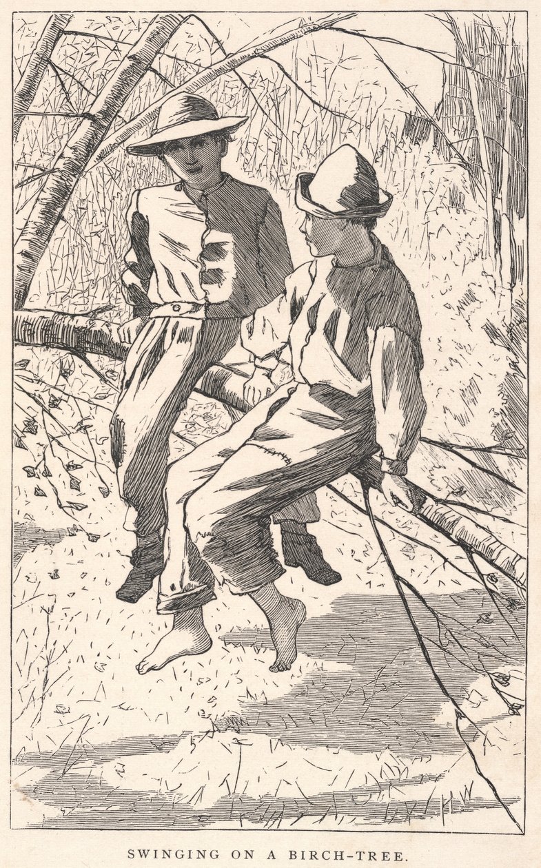 在白桦树上荡秋千》，选自《我们的年轻人》，1867 年 6 月 作者 温斯洛·荷马