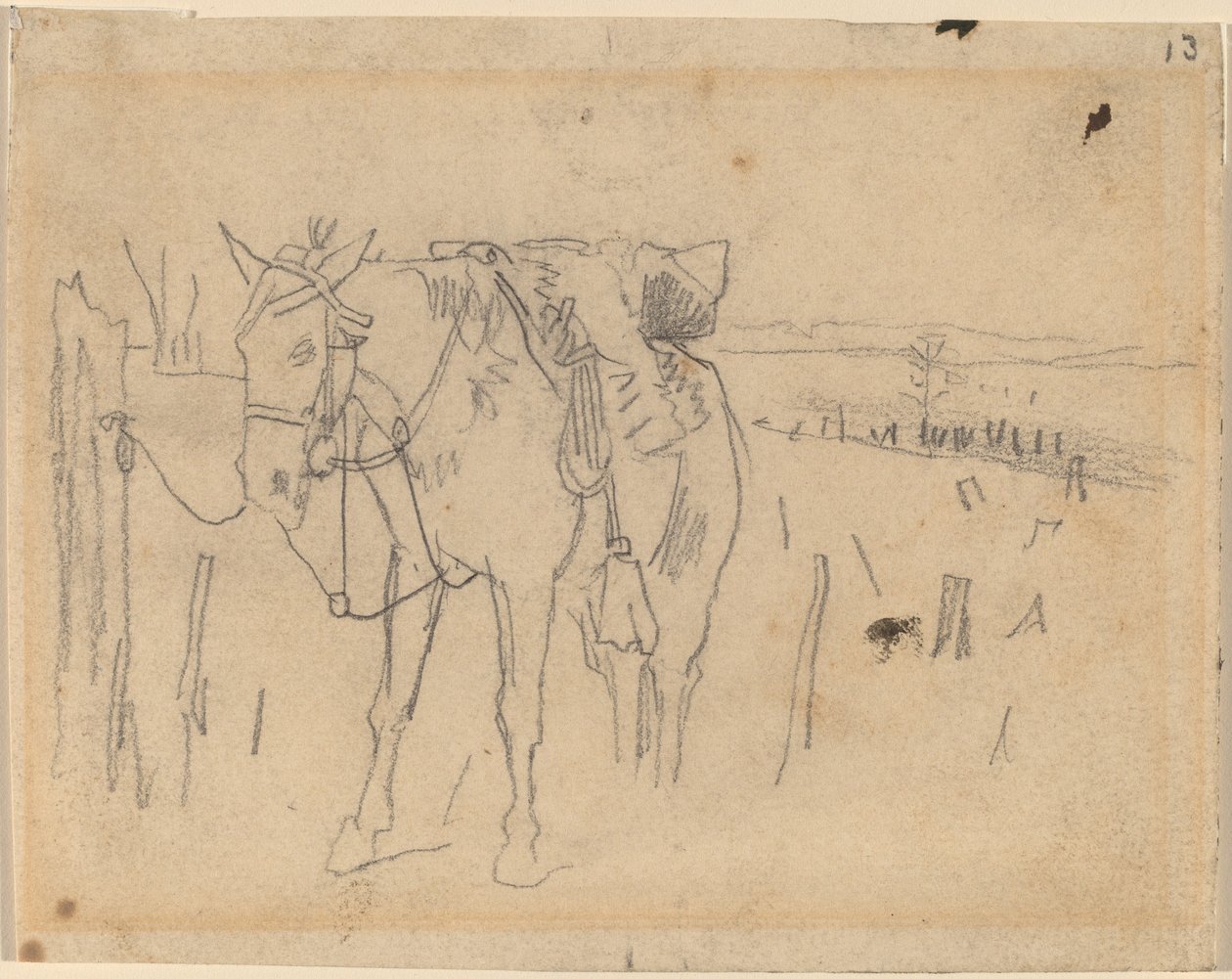 拴住了，1864年。 作者 温斯洛·荷马