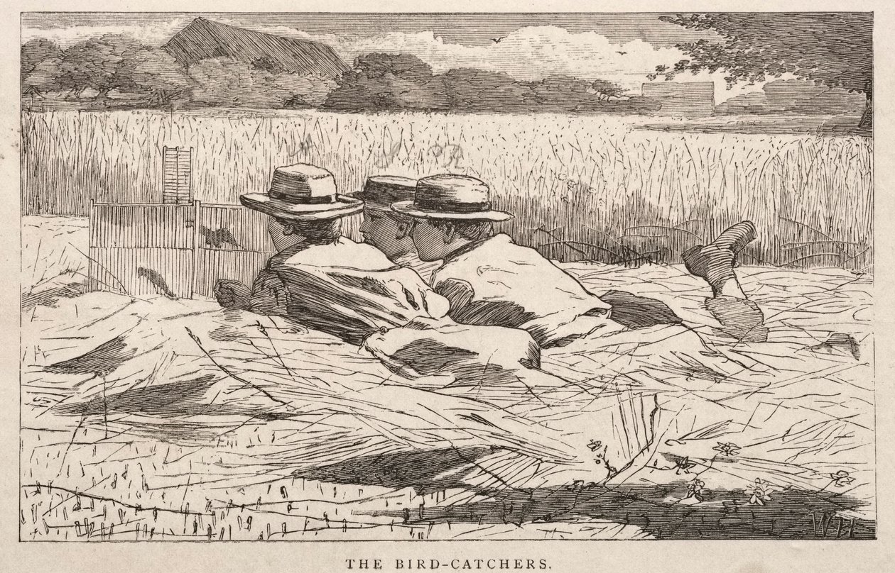 捕鸟器，1867年。 作者 温斯洛·荷马