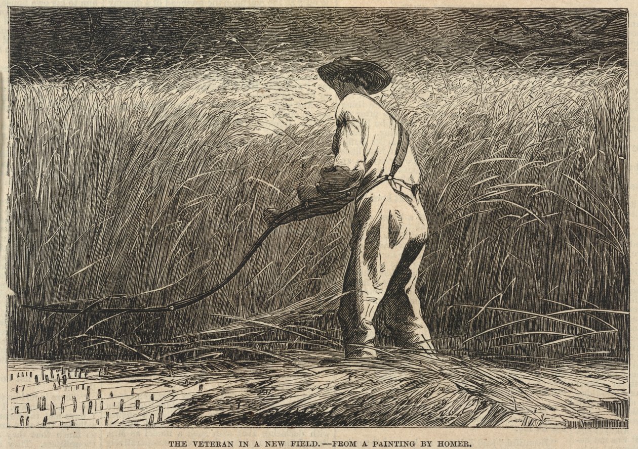 新战场上的老兵》，摘自《弗兰克-莱斯利画报》，1867 年 7 月 13 日 作者 温斯洛·荷马