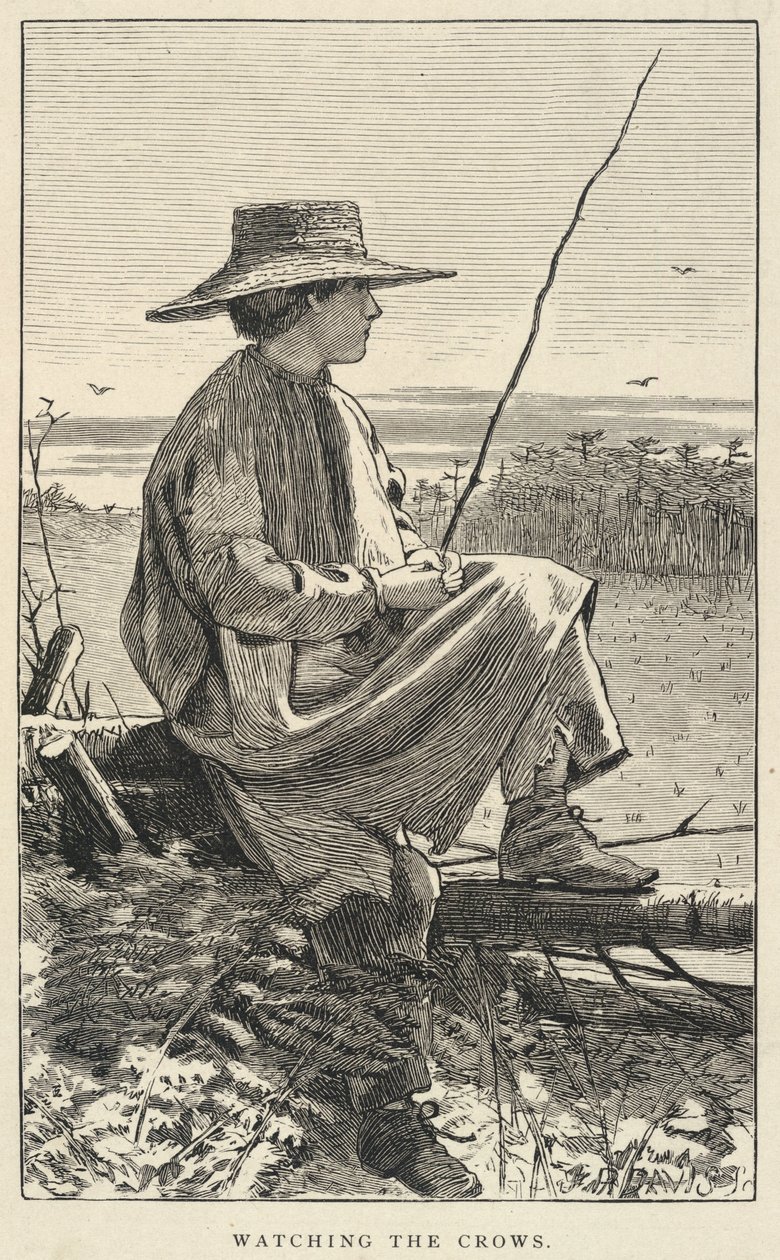 观察乌鸦》，选自《我们的年轻人》，1868 年 6 月 作者 温斯洛·荷马