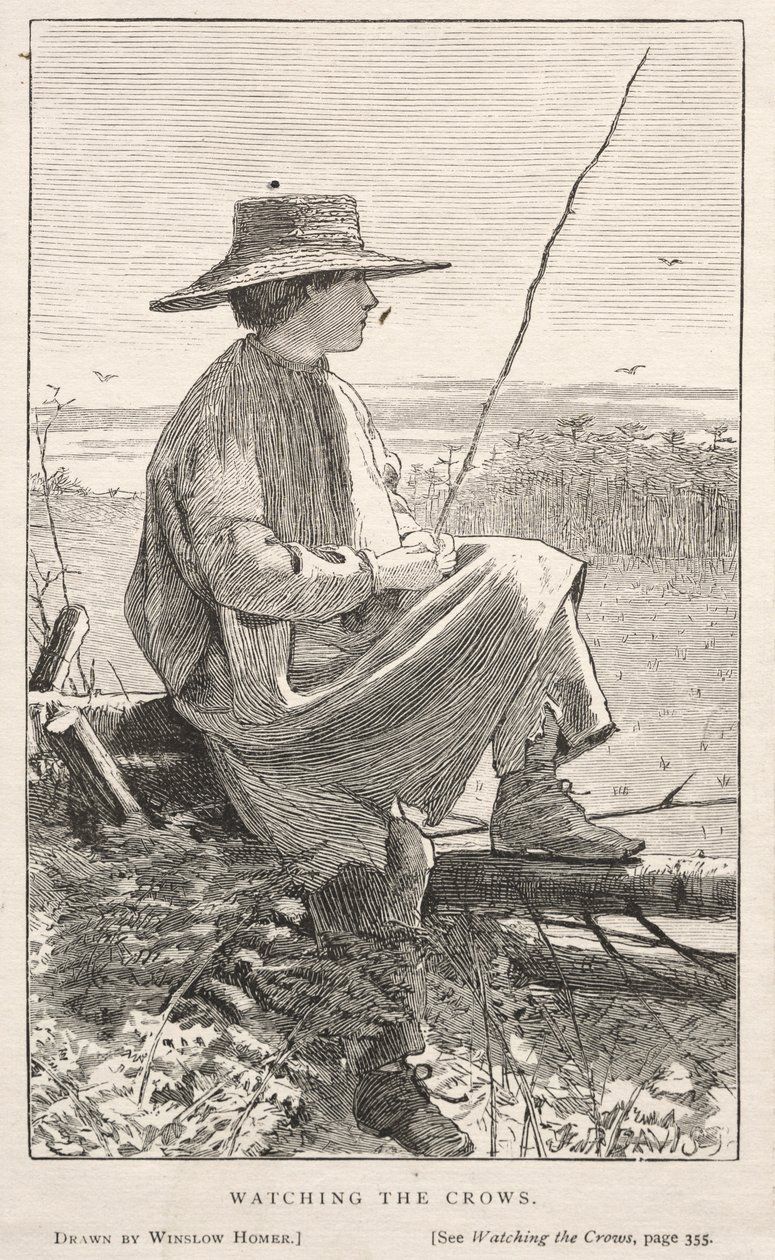 观看乌鸦，1868年。 作者 温斯洛·荷马